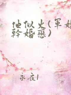 他似火(军婚高干婚恋)