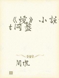 《烧》小说txt网盘