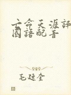 亡命天涯译制片国语配音