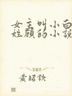 女主叫小白男主姓顾的小说