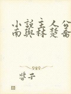 小说主人公李向南与林楚乔免费阅读