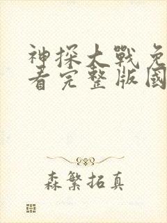 神探大战免费观看完整版国语1080