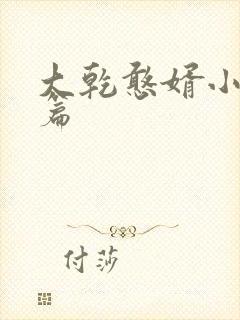 大乾憨婿小说全篇