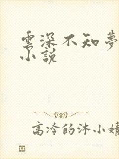 云深不知梦原著小说