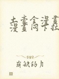 土豪金漫画免费漫画网下拉式