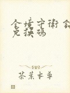 全境守卫 钻石兑换码