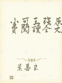 小可王强原文免费阅读全文