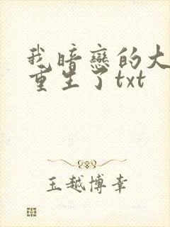 我暗恋的大佬也重生了txt