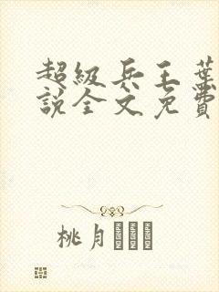 超级兵王叶谦小说全文免费阅读下载