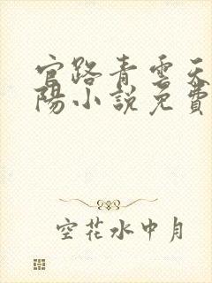 官路青云天骄叶阳小说免费阅读