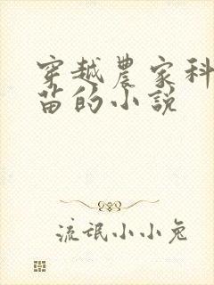 穿越农家科举独苗的小说