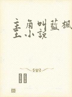 主角叫蓝枫的兵王小说