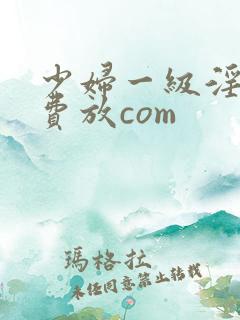 少妇一级淫片免费放com