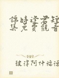 锦时逢君短剧全集免费观看