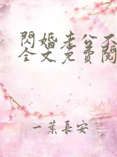 闪婚老公不见面全文免费阅读小说