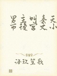 男主叫秦天的都市后宫文小说