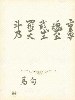 斗罗武魂重瞳吾乃天生至尊