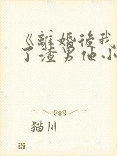 《离婚后我嫁给了渣男他小叔》小说