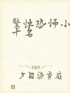 惊悚恐怖小说前十名