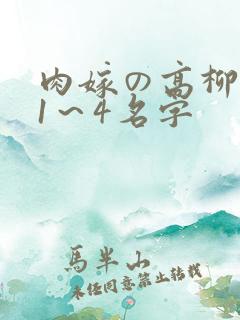 肉嫁の高柳动漫1～4名字
