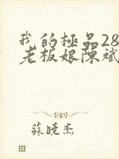 我的极品28岁老板娘陈斌结局小说