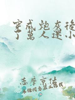 穿成炮灰后我成了万人迷小说