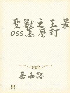 圣兽之王最后boss怎么打