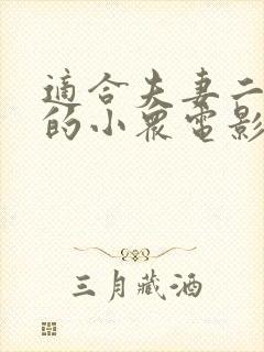 适合夫妻二人看的小众电影