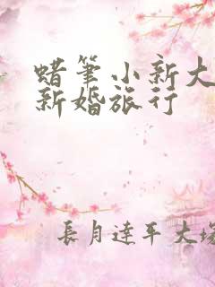 蜡笔小新大电影新婚旅行