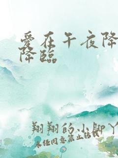 爱在午夜降临前降临