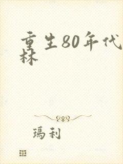 重生80年代沈林