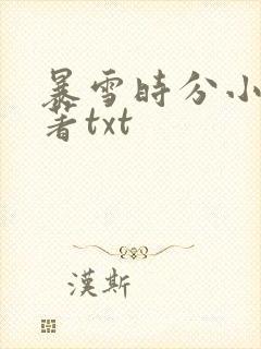 暴雪时分小说原著txt