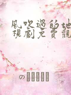 风吹过的地方电视剧免费观看