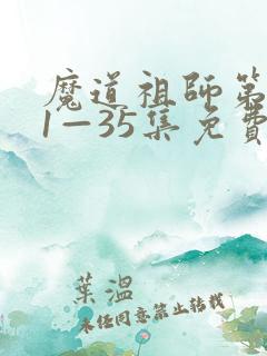 魔道祖师第一季1—35集免费