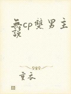 无cp双男主小说