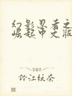 幻影忍者之神龙崛起中文版