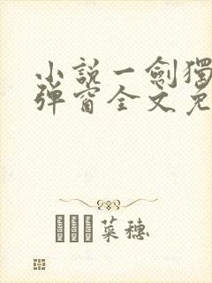 小说一剑独尊无弹窗全文免费阅读