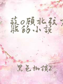苏o顾北弦完结版的小说