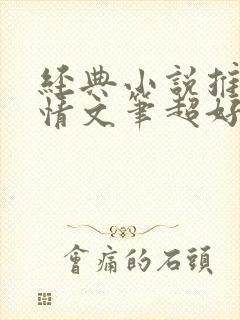 经典小说推荐言情文笔超好