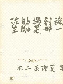 佐助遇到秽土转生鼬是哪一集