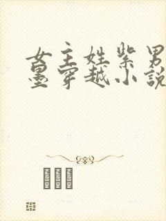 女主姓紫男主姓墨穿越小说