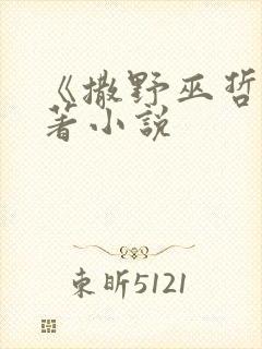 《撒野巫哲》原著小说