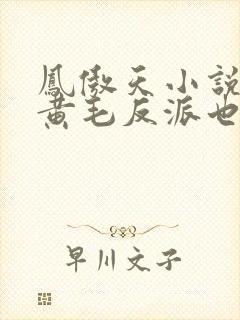 凤傲天小说里的黄毛反派也想幸福