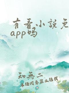 有看小说免费的app吗