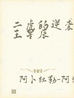 二虎的逆袭人生王星辰