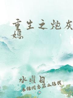 重生之炮灰农村媳