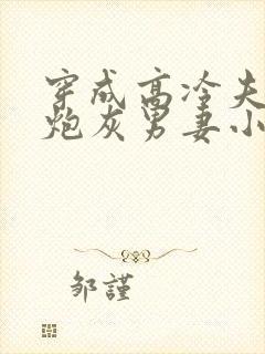 穿成高冷夫郎的炮灰男妻小说