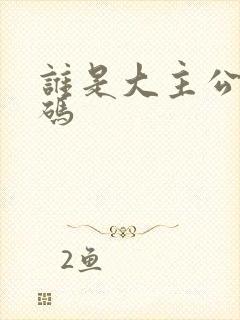 谁是大主公礼包码