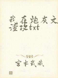 我在炮灰文里当渣攻txt