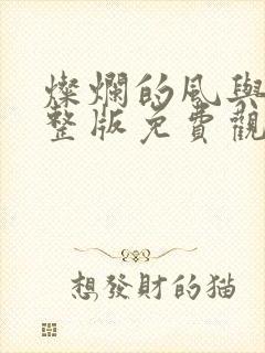 灿烂的风与海完整版免费观看